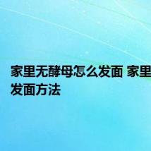 家里无酵母怎么发面 家里无酵母发面方法