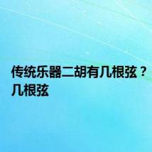 传统乐器二胡有几根弦？ 二胡有几根弦
