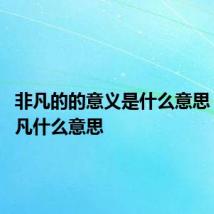 非凡的的意义是什么意思 词语非凡什么意思