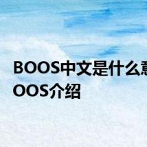 BOOS中文是什么意思 BOOS介绍