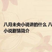 八月未央小说讲的什么 八月未央小说剧情简介