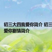 初三大四我爱你简介 初三大四我爱你剧情简介