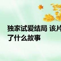 独家试爱结局 该片讲述了什么故事