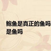 鲍鱼是真正的鱼吗 鲍鱼是鱼吗