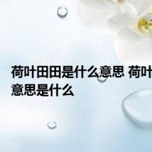 荷叶田田是什么意思 荷叶田田的意思是什么