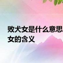 败犬女是什么意思 败犬女的含义