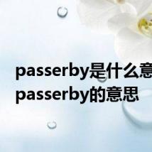 passerby是什么意思啊 passerby的意思