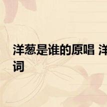 洋葱是谁的原唱 洋葱歌词