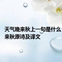 天气晚来秋上一句是什么 天气晚来秋原诗及译文