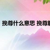 挽尊什么意思 挽尊解释