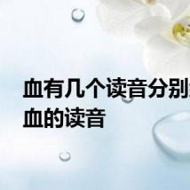 血有几个读音分别组词 血的读音