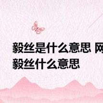 毅丝是什么意思 网络语毅丝什么意思