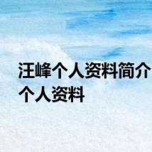 汪峰个人资料简介 汪峰个人资料