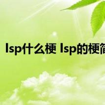 lsp什么梗 lsp的梗简述