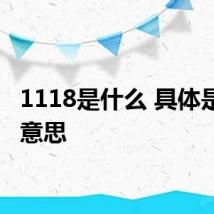 1118是什么 具体是什么意思
