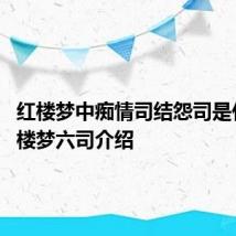 红楼梦中痴情司结怨司是什么 红楼梦六司介绍