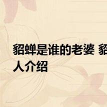 貂蝉是谁的老婆 貂蝉个人介绍