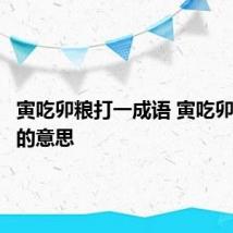 寅吃卯粮打一成语 寅吃卯粮成语的意思