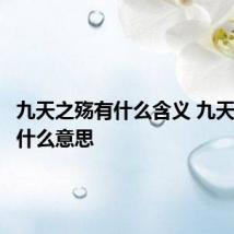 九天之殇有什么含义 九天之殇是什么意思