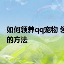 如何领养qq宠物 领宠物的方法