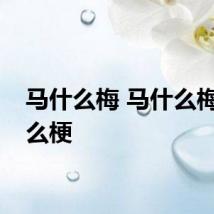 马什么梅 马什么梅是什么梗