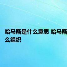 哈马斯是什么意思 哈马斯是个什么组织