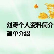 刘涛个人资料简介 刘涛简单介绍