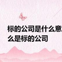 标的公司是什么意思 什么是标的公司