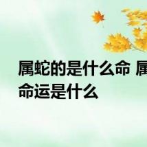 属蛇的是什么命 属蛇的命运是什么