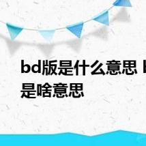 bd版是什么意思 bd版是啥意思