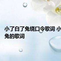 小了白了兔绕口令歌词 小了白了兔的歌词