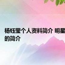 杨钰莹个人资料简介 明星杨钰莹的简介