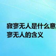 寂寥无人是什么意思 寂寥无人的含义