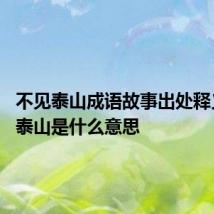 不见泰山成语故事出处释义 不见泰山是什么意思