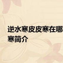 逆水寒皮皮寒在哪 逆水寒简介