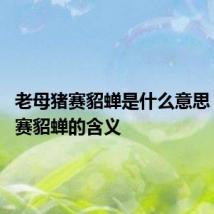 老母猪赛貂蝉是什么意思 老母猪赛貂蝉的含义