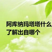 阿库纳玛塔塔什么意思 了解出自哪个