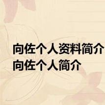 向佐个人资料简介 关于向佐个人简介