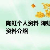 陶虹个人资料 陶虹个人资料介绍