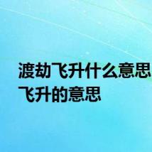 渡劫飞升什么意思 渡劫飞升的意思
