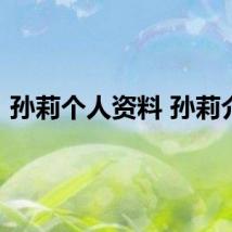 孙莉个人资料 孙莉介绍