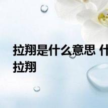 拉翔是什么意思 什么是拉翔