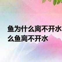 鱼为什么离不开水 为什么鱼离不开水