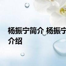 杨振宁简介 杨振宁个人介绍