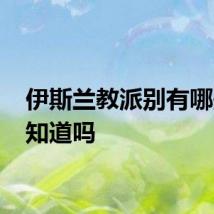 伊斯兰教派别有哪些 你知道吗