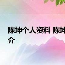 陈坤个人资料 陈坤的简介