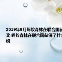 2019年9月蚂蚁森林在联合国获得了什么奖 蚂蚁森林在联合国获得了什么奖项介绍