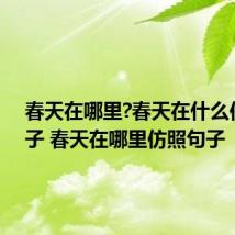 春天在哪里?春天在什么仿写句子 春天在哪里仿照句子