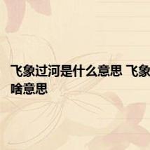 飞象过河是什么意思 飞象过河是啥意思