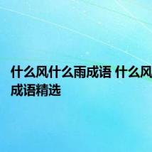 什么风什么雨成语 什么风什么雨成语精选